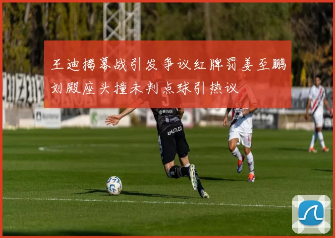 王迪揭幕战引发争议红牌罚姜至鹏刘殿座头撞未判点球引热议